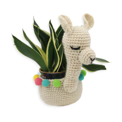 Crochet Plant Holder Kit - Llama