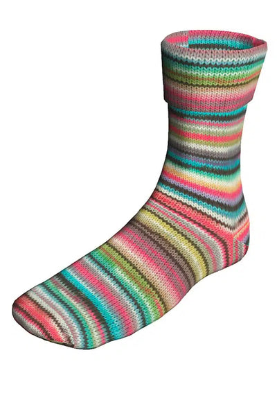 Super Soxx Color 4 ply