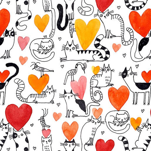 It’s Raining Cats and Dogs Hearts and Cats Coral 3534